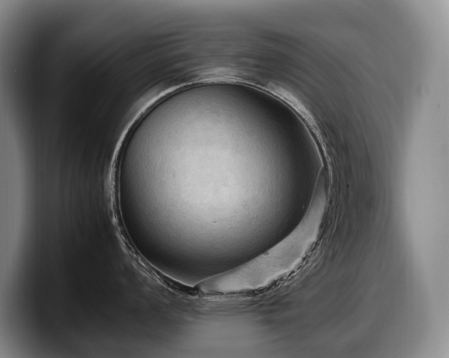 X0000100311008200806051452