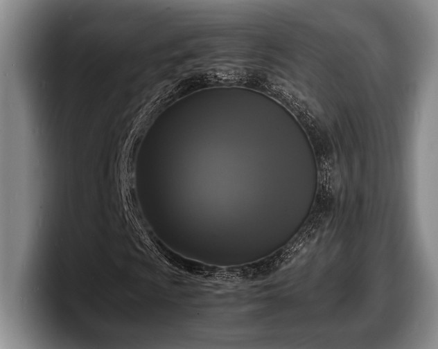 X0000100311009200806051451