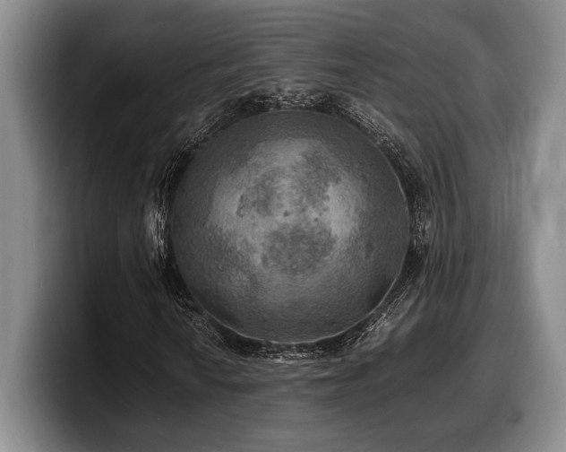X0000100311010200806051451