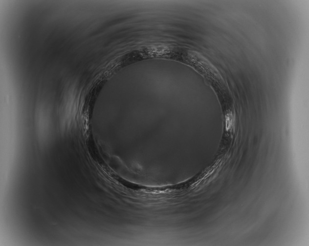 X0000100311011200806051451