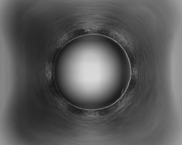 X0000100311012200806051451