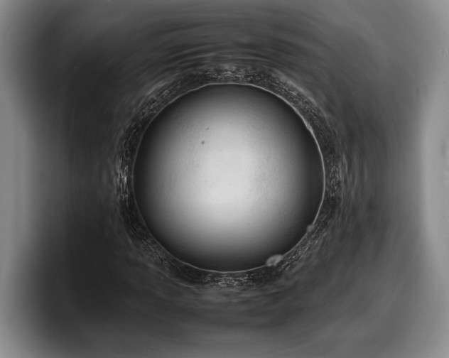 X0000100311013200806051451