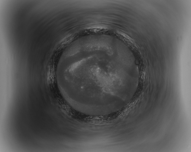 X0000100311014200806051451