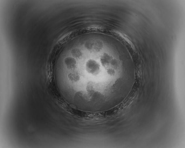 X0000100311015200806051451