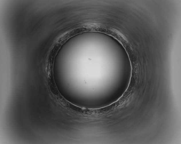X0000100311016200806051451