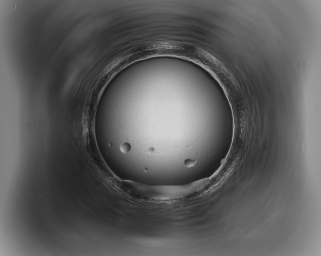 X0000100311017200806051451
