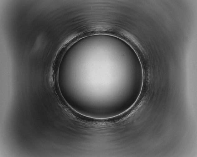 X0000100311018200806051451
