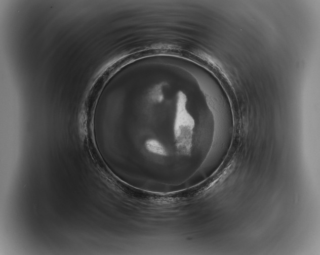 X0000100311019200806051451