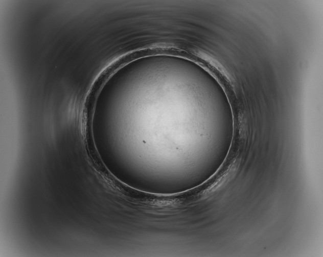 X0000100311021200806051451