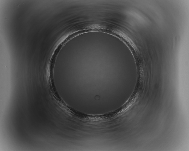X0000100311023200806051451