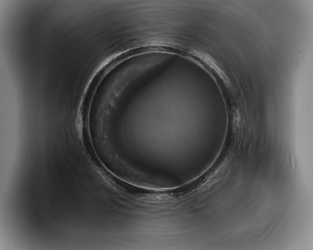 X0000100311024200806051451