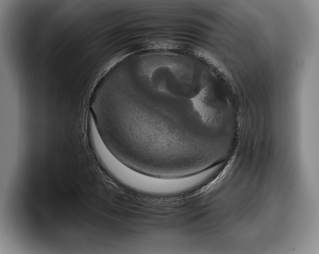 X0000100311025200806051451