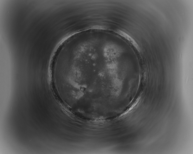 X0000100311027200806051451
