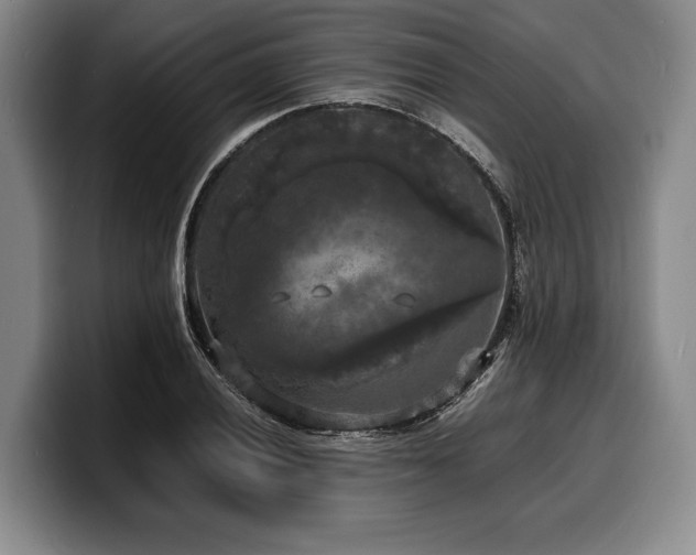 X0000100311028200806051451