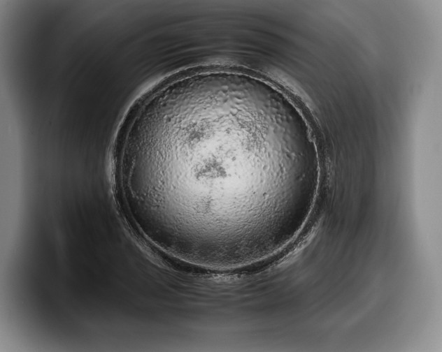 X0000100311029200806051451