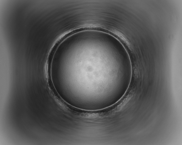 X0000100311030200806051451