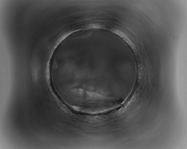X0000100311031200806051451