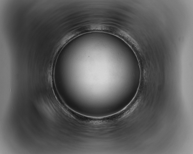 X0000100311033200806051451