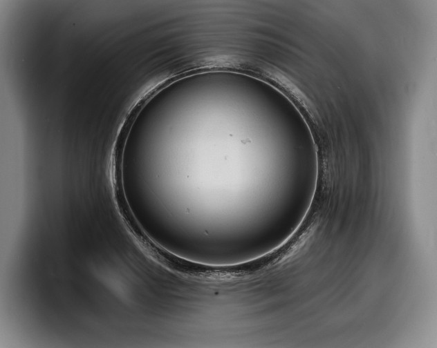 X0000100311034200806051451