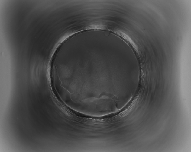 X0000100311035200806051451