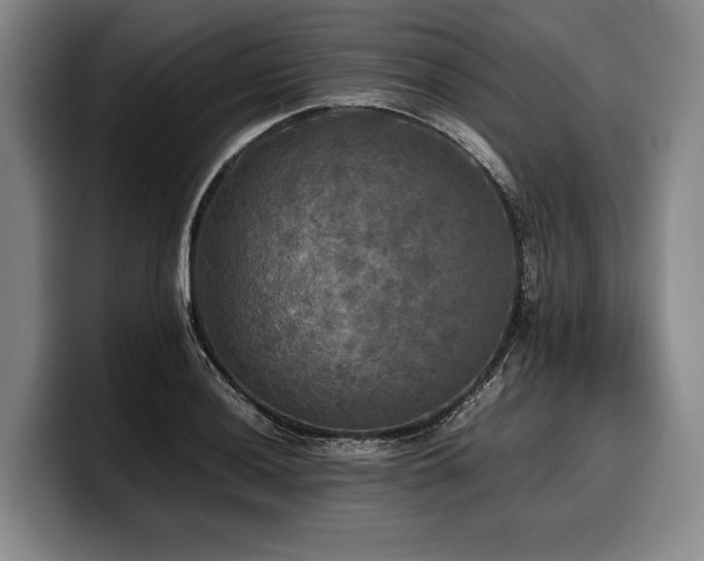 X0000100311036200806051451
