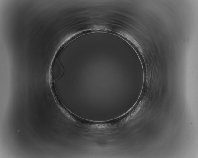 X0000100311037200806051451