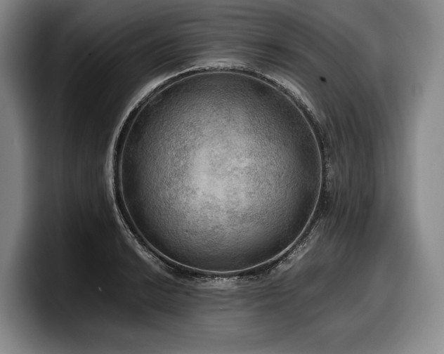 X0000100311038200806051451