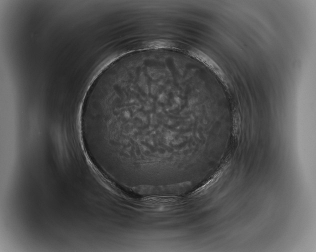 X0000100311039200806051451