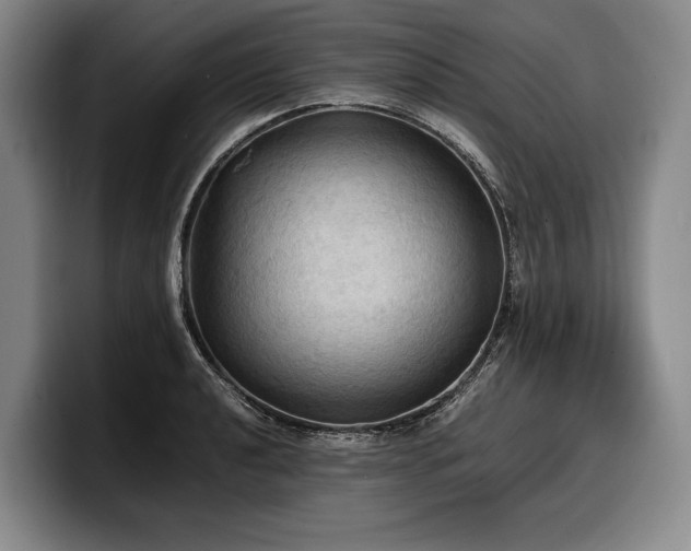 X0000100311040200806051451