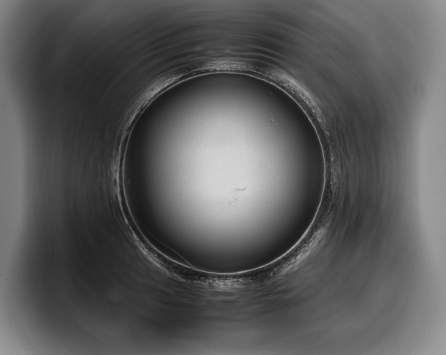 X0000100311041200806051451