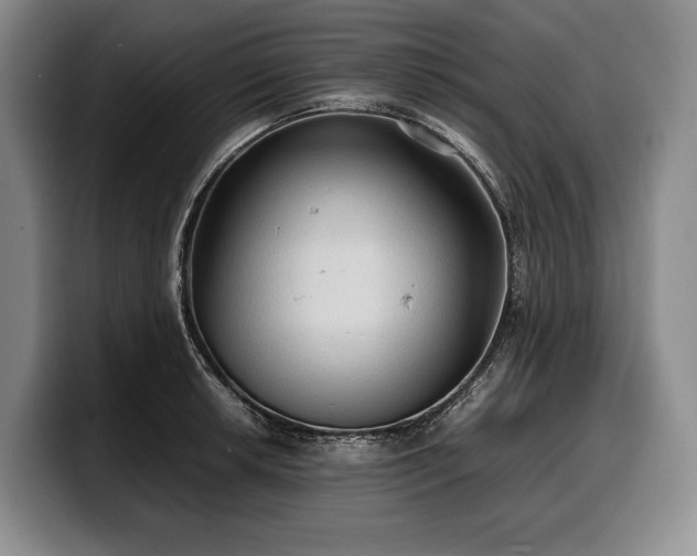 X0000100311042200806051451