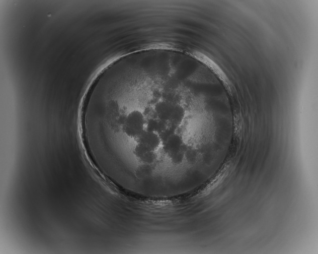 X0000100311043200806051451