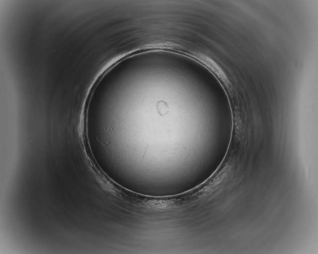 X0000100311044200806051451
