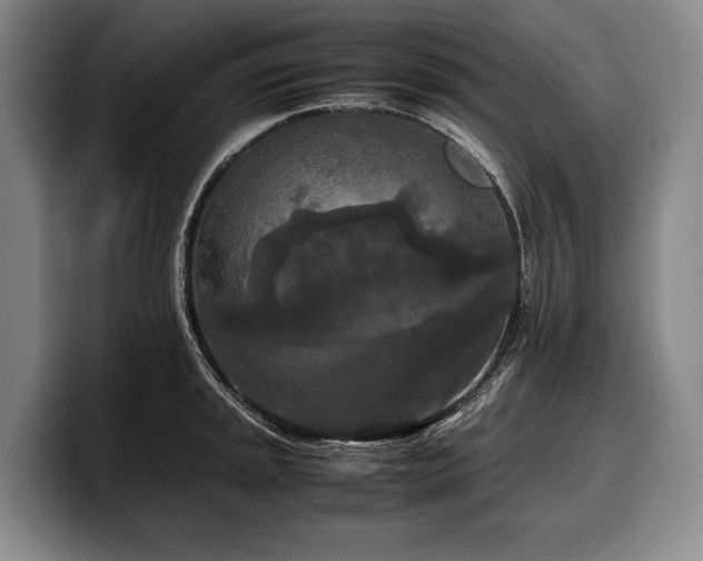 X0000100311045200806051451