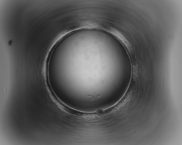 X0000100311046200806051451