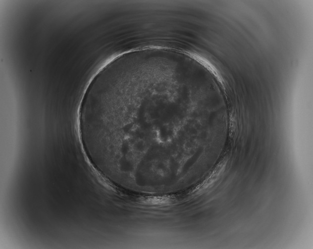 X0000100311047200806051451