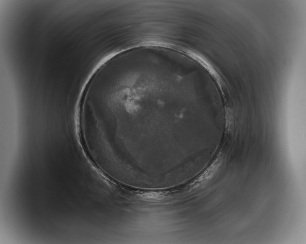 X0000100311048200806051451