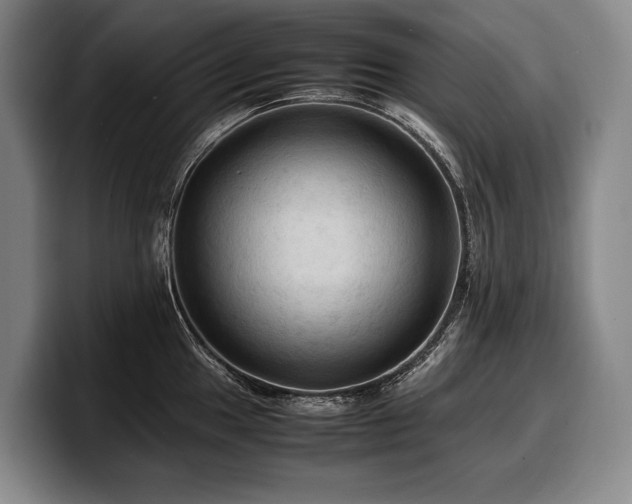 X0000100311049200806051451