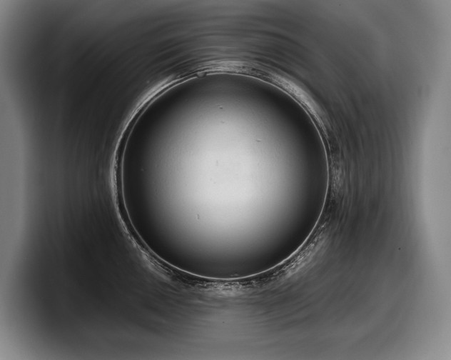 X0000100311050200806051452