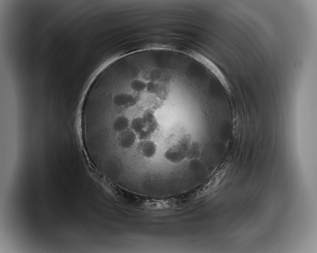 X0000100311051200806051452