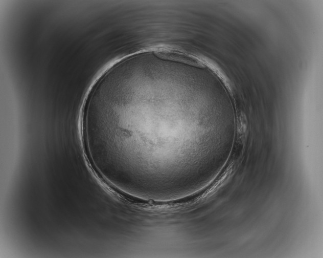 X0000100311054200806051452