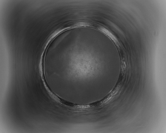 X0000100311055200806051452