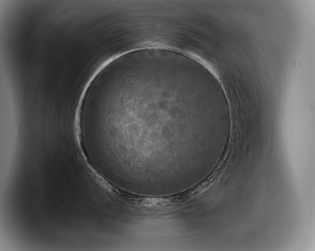X0000100311056200806051452