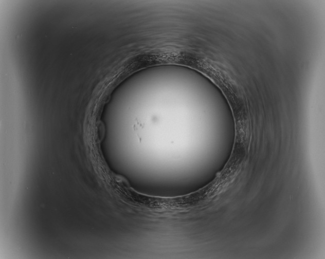 X0000100311057200806051451