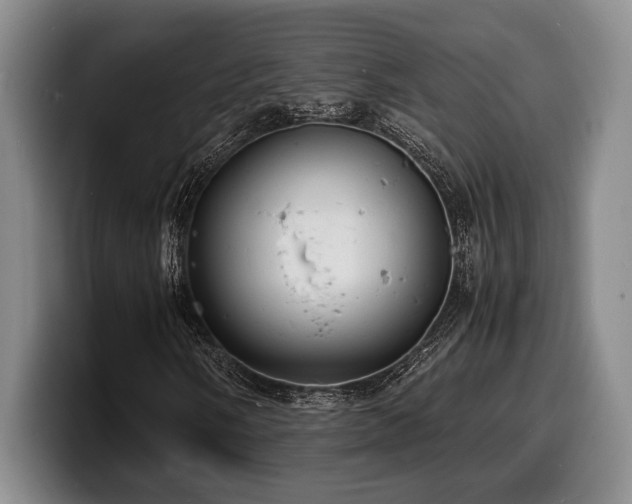 X0000100311058200806051451