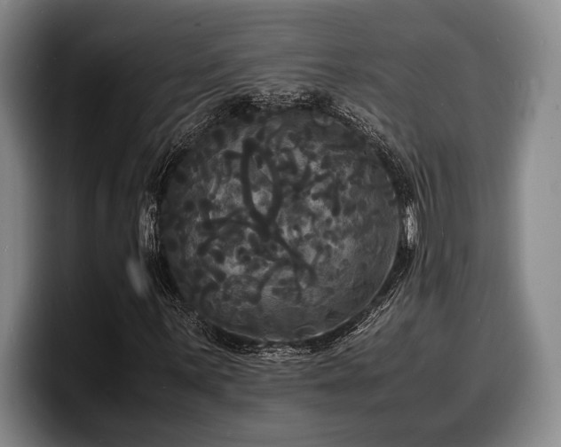 X0000100311059200806051451