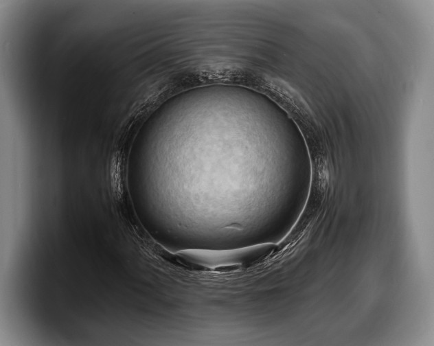X0000100311060200806051451