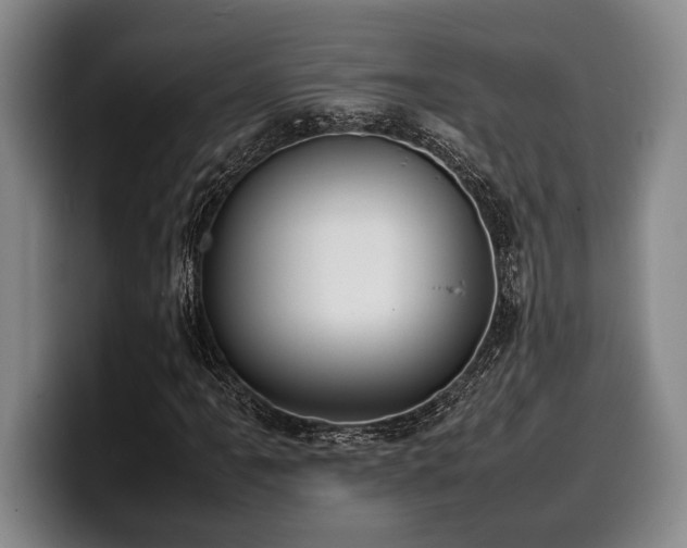 X0000100311061200806051451