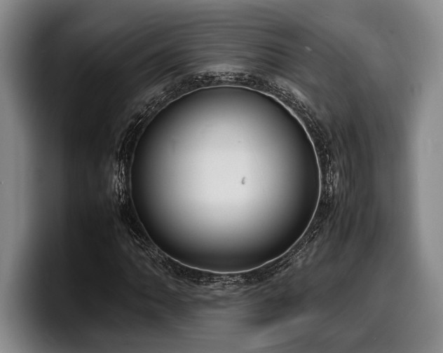 X0000100311062200806051451