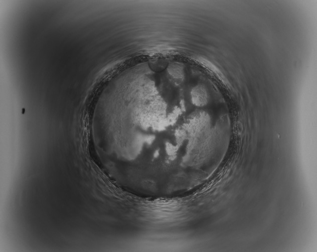 X0000100311063200806051451